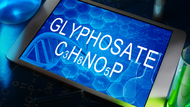 Glyphosate-based herbicides containing mixtures of other active and inert ingredients cause lethal and sublethal effects in aquatic species.