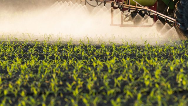 EPA opened a public comment period on the regulation of endocrine-disrupting pesticides, a proposal with a drawn-out 10-year process that is narrow in evaluating the underlying mechanism that causes endocrine disruption. #TakeAction