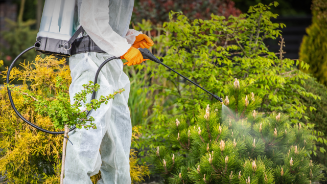 EPA approves registrations of glufosinate (“L-glufosinate,” “glufosinate-P”) as new active ingredients under Herbicide Strategy Framework. EPA approves registrations of glufosinate (“L-glufosinate,” “glufosinate-P”) as new active ingredients under Herbicide Strategy Framework.