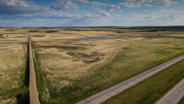 An investigation conducted by Canada’s National Observer finds that Bayer colluded with Canadian regulators to obstruct a proposed neonicotinoid ban.