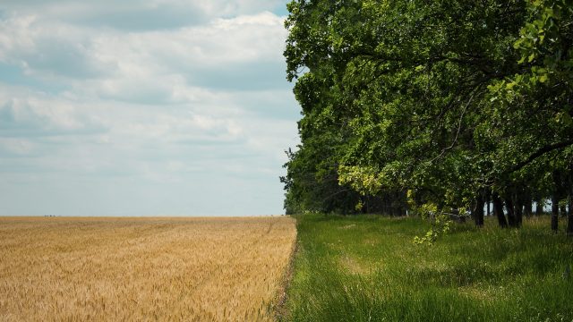 As organic is increasingly understood to be a climate solution, last year an aggressive effort was launched to support the European agricultural community.