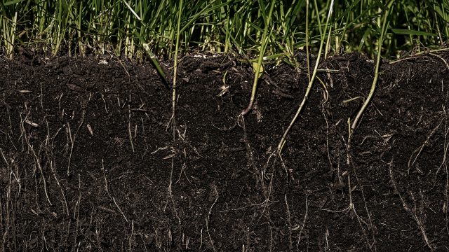 Research develops based on existing initiative led by members of the Mi’kmaq Nation to remediate PFAS-contaminated, Superfund-designated land in Maine. Research develops based on existing initiative led by members of the Mi’kmaq Nation to remediate PFAS-contaminated, Superfund-designated land in Maine.