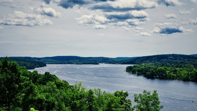 University of Connecticut finds that 46% of Connecticut waterway samples are contaminated with levels of imidacloprid—the most widely used neonicotinoid.