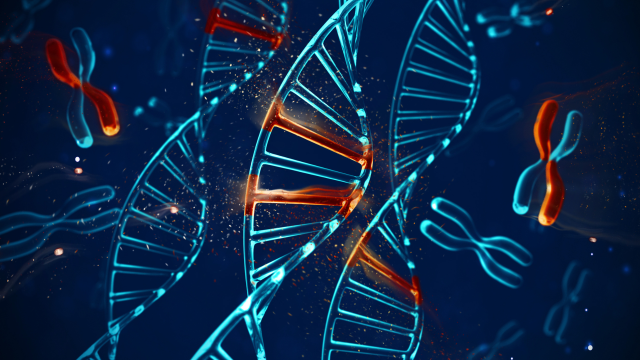 Endocrine disrupting pesticides, including PFAS, lead to epigenetic modifications and various health effects. Endocrine disrupting pesticides, including PFAS, lead to epigenetic modifications and various health effects.