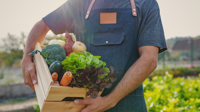 Adopting a fully organic diet can reduce pesticide levels in urine within just two weeks “by an average of 98.6%” according to findings from a recent study. Adopting a fully organic diet can reduce pesticide levels in urine within just two weeks “by an average of 98.6%” according to findings from a recent study.