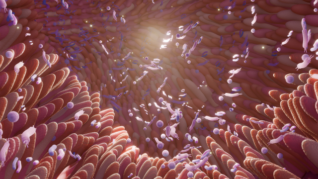 A study of intestinal damage from pesticide mixtures adds to the wide body of science highlighting regulatory deficiencies. A study of intestinal damage from pesticide mixtures adds to the wide body of science highlighting regulatory deficiencies.