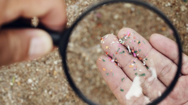 With the gov't shutting down environmental programs, state and local action has taken on elevated importance re: pesticide hazards from plastic contamination!