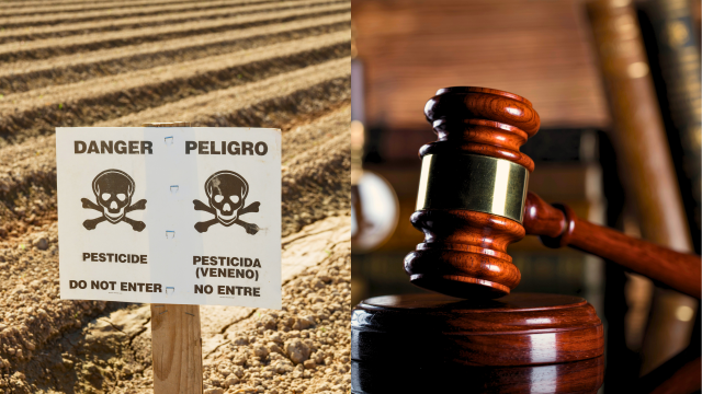 A jury in Georgia state court on March 21 found the pesticide manufacturer Bayer/Monsanto guilty of causing a man’s non-Hodgkin lymphoma after use of the company’s glyphosate-based weed killer product Roundup.