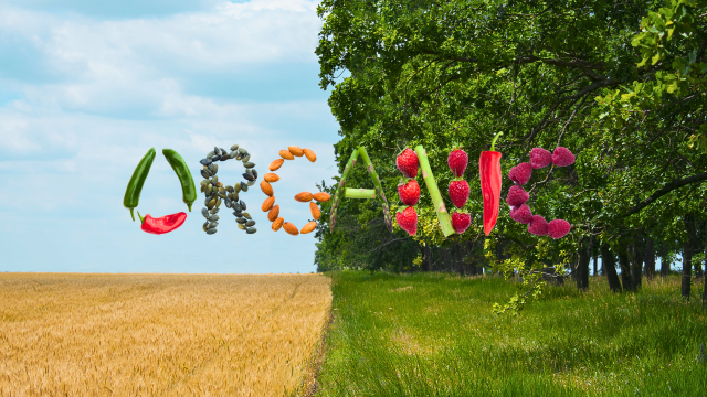 A new literature review comparing chemical-intensive farming to regenerative organic systems finds significantly increased soil health.