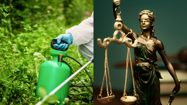 Communities reeling in the aftermath of the March 2025 EPA announcement eliminating Environmental Justice and Diversity, Equity, and Inclusion (DEI) at the agency.