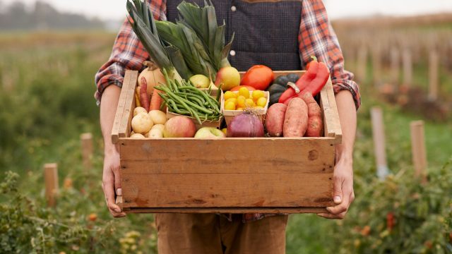 Take action and tell Congress to make funding for two USDA programs embracing access to local food systems permanent through the Farm Bill. Take action and tell Congress to make funding for two USDA programs embracing access to local food systems permanent through the Farm Bill.