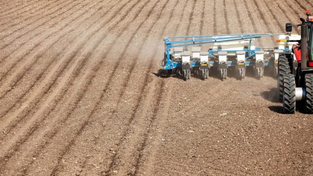 Springtails illustrate in new research how global warning and antibiotic resistance creates synergistic effects: warming increases pesticide toxicity, triggering antibiotic resistance which spreads through horizontal gene transfer and predation.