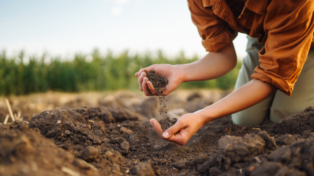 The declining soil health noted with pesticide residues threatens both ecosystem and human health, as well as crop productivity. The declining soil health noted with pesticide residues threatens both ecosystem and human health, as well as crop productivity.