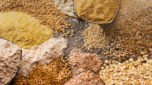 Research documents that organic grain systems contain higher concentrations of total nitrogen and soil organic carbon relative to conventional systems. Research documents that organic grain systems contain higher concentrations of total nitrogen and soil organic carbon relative to conventional systems.