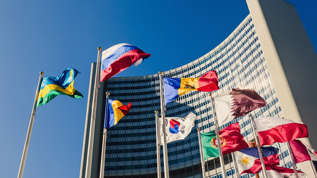 The UN Stockholm Convention votes to add the organophosphate insecticide chlorpyrifos, linked to brain damage in children, to Annex A for elimination.