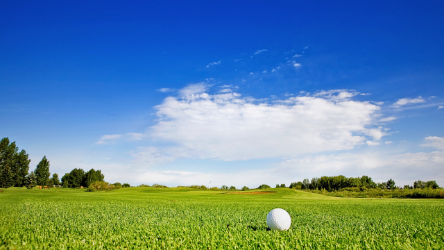 A medical study published in the Journal of The American Medical Association finds heightened risk of Parkinson's for those living near a golf course. A medical study published in the Journal of The American Medical Association finds heightened risk of Parkinson's for those living near a golf course.