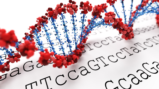 A study finds DNA damage and threats to cellular health with occupational exposure of farmers and farmworkers. A study finds DNA damage and threats to cellular health with occupational exposure of farmers and farmworkers.