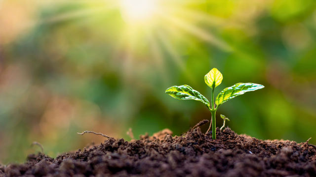 Beyond Pesticides envisions organic landcare as a bright spot for a sustainable future that addresses existential health, biodiversity, and climate threats. Beyond Pesticides envisions organic landcare as a bright spot for a sustainable future that addresses existential health, biodiversity, and climate threats.