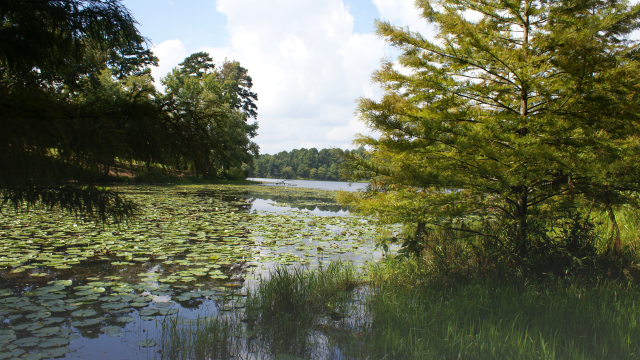 Aquatic communities contribute to overall biodiversity and provide essential ecosystem services but are threatened by neonicotinoid usage. Aquatic communities contribute to overall biodiversity and provide essential ecosystem services but are threatened by neonicotinoid usage.