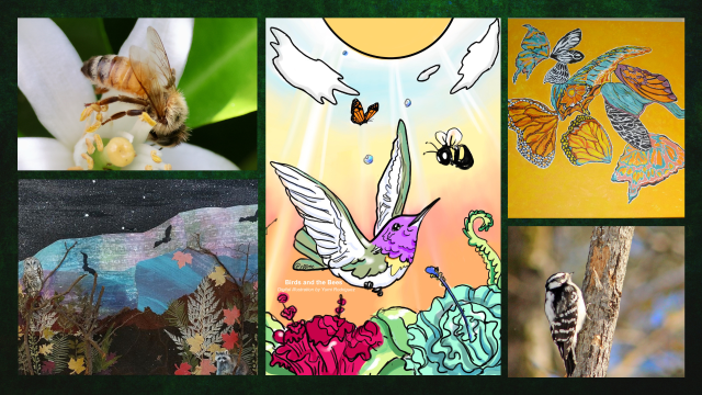 ***Featured Art Page submissions above, highlighted with the gratitude of Beyond Pesticides: Jesse from Livermore, CA: “Honeybee Pollinating Citrus Blossom”; Yumi from New York, NY: “Birds and the Bees”; Gretchen from Helena, MT: “Butterflies”; Janet from Concord, MA: “Beneath the Big Dipper”; and Trix from Petersburg, NY: “Downy Woodpecker.” Pollinator Week 2025 launches with a week of activities and actions! ***Featured Art Page submissions above, highlighted with the gratitude of Beyond Pesticides: Jesse from Livermore, CA: “Honeybee Pollinating Citrus Blossom”; Yumi from New York, NY: “Birds and the Bees”; Gretchen from Helena, MT: “Butterflies”; Janet from Concord, MA: “Beneath the Big Dipper”; and Trix from Petersburg, NY: “Downy Woodpecker.” Pollinator Week 2025 launches with a week of activities and actions!