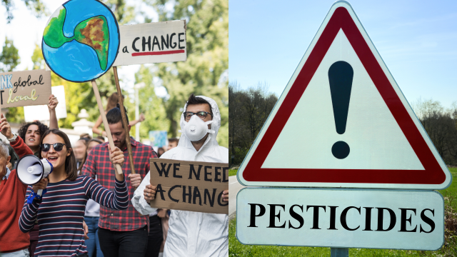 A recent study highlights the importance of the definition of invasive species and how the public perceives managing them. A recent study highlights the importance of the definition of invasive species and how the public perceives managing them.