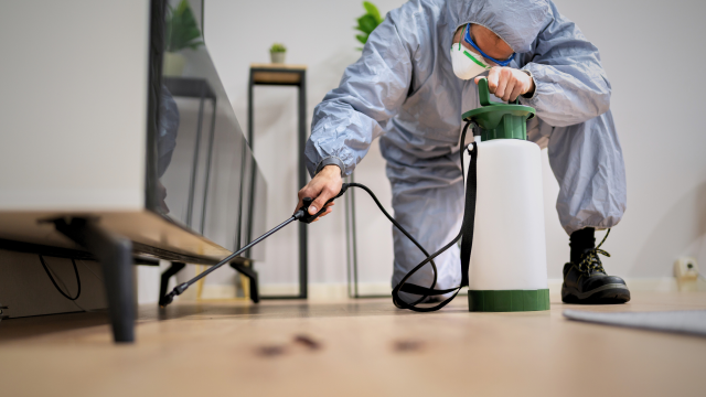 A study finds that there are 47 current-use pesticides detected in samples of indoor dust, drinking water, and urine from households in Indiana. A study finds that there are 47 current-use pesticides detected in samples of indoor dust, drinking water, and urine from households in Indiana.