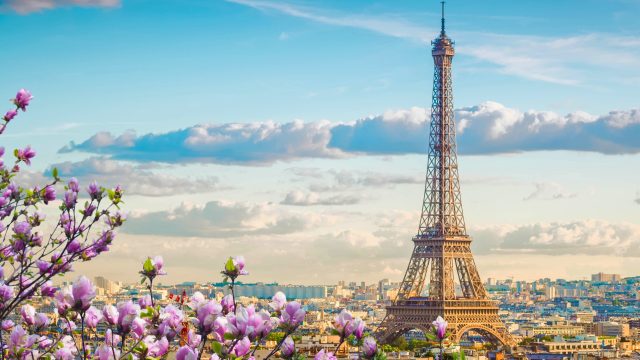 Over 2 million people in France signed a petition that ultimately prevented the overturning of the country’s ban on bee-killing neonicotinoid insecticides.