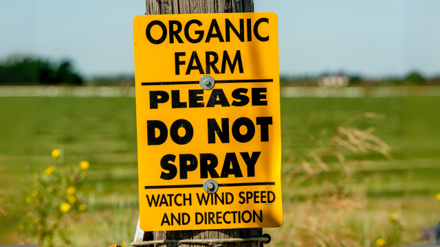 Organic farming can be contaminated by pesticide drift, supporting the need for the widespread adoption of organic practices. Organic farming can be contaminated by pesticide drift, supporting the need for the widespread adoption of organic practices.