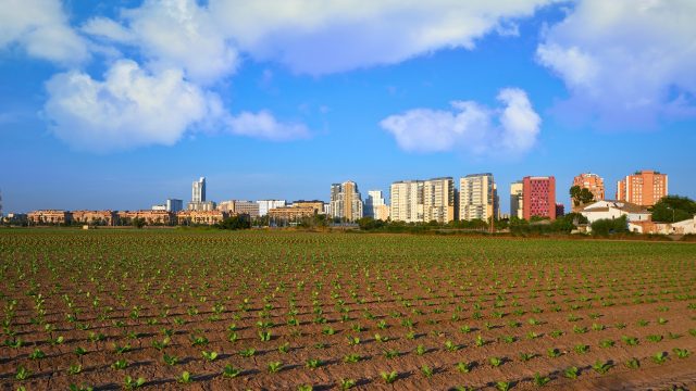 In a recent study researchers have detected eighty pesticides in the ambient air of a rural, agricultural region of Spain (Valencia) between 2007 and 2024.