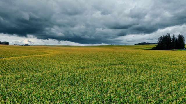 Pesticide contamination in clouds causes long-range transport of pesticide residues, further threatening health and the environment.