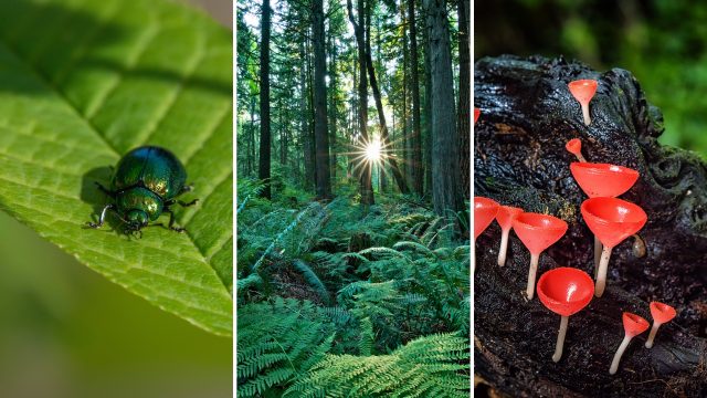 Nontarget organisms are at risk, as well as broader biodiversity and ecosystem functioning, from pesticide exposure. Nontarget organisms are at risk, as well as broader biodiversity and ecosystem functioning, from pesticide exposure.