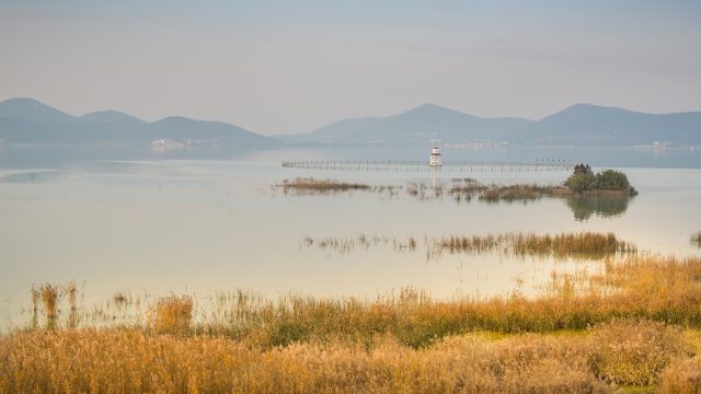 Aquatic ecosystem functioning is threatened with agricultural pesticide runoff into waterways, as documented in a study in China.