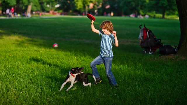 With the theme “Our Home Outdoors,” the National Environmental Education Foundation (NEEF) launched National Public Lands Day this past Saturday—defining this year’s event as follows: “Our public lands are more than just places to visit—they are woven into the fabric of our everyday lives. From the trails we hike to the parks where we gather with family and friends, these spaces are our collective backyard, our shared front porch, our natural playground.” At the same time, people are asking their local governments whether they are using petrochemical pesticides and fertilizers on their parks and playing fields that are known to threaten the health of children, pets, wildlife, and the environment. Beyond Pesticides led a nationwide action to “Tell your local officials to make your parks organic.” 