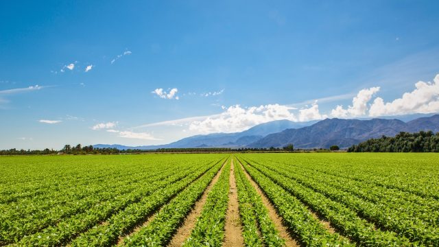 New California pesticide notification system run updated in August after backlash over inadequate notice of pesticide use to those in proximity to farmland.