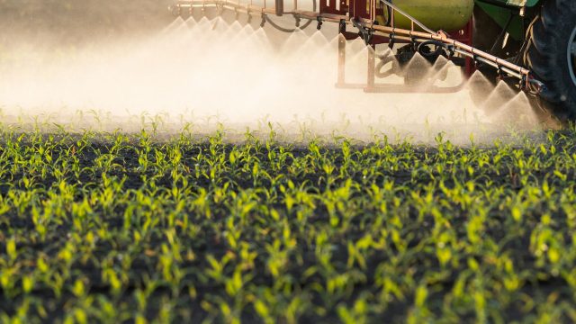 A team of researchers conducted a study published in Environmental Toxicology and Pharmacology of the combined effects of glyphosate and cypermethrin.