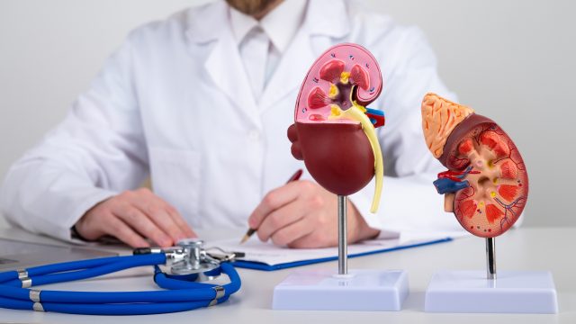 In using bioinformatic tools, a study identifies the mechanisms of kidney injury and cancer that correlate with exposure to glyphosate.