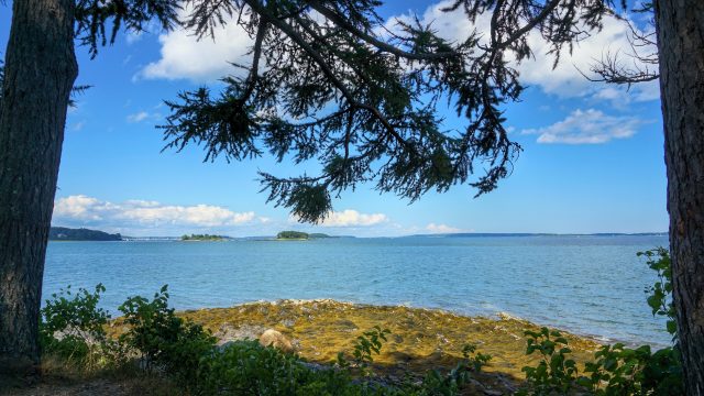 A ballot initiative to repeal a local ordinance in Maine that bans most uses of lawn chemicals was rejected by the voters last week by a 10-point margin.