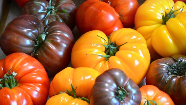 A study provides evidence on the viability of organic farmland based on tomatoes cultivated through traditional plant breeding and regional variances.