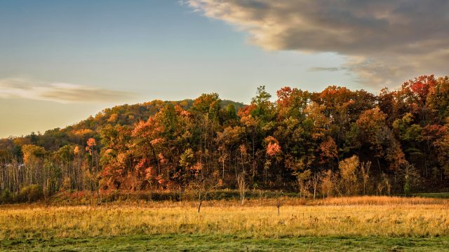 The Beyond Pesticides team and board would like to thank those working actively working to protect the health of our soil, air, water, and all life.