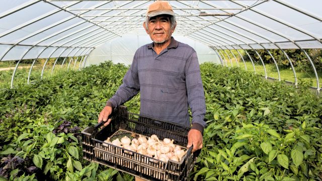 A new report unpacks the supply chain of the infamous herbicide paraquat and underscores the true costs of pesticide products.