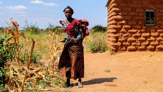 In Tanzania, neurodevelopmental effects in children are linked to their pregnant mothers' occupational exposure to pesticides.