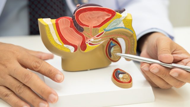 Neonicotinoid insecticides, while meant to target insect nervous systems, threaten reproductive health in mammals.