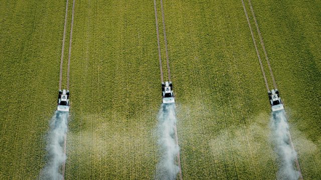 USDA finds that over 57% of tested commodities contain at least one pesticide and that less than one percent of detected residues violate EPA tolerances.