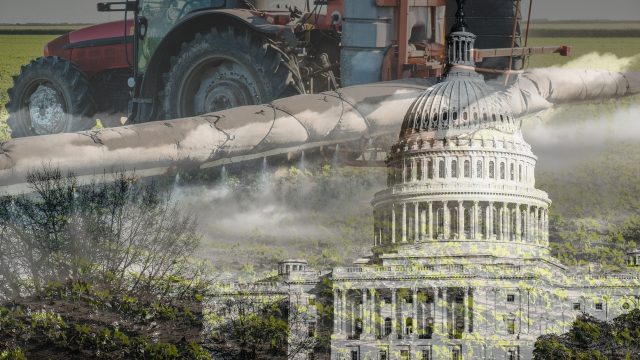 This week it was announced that a provision denying people the right to sue chemical companies was dropped from FY2026 funding bill in U.S. Congress.