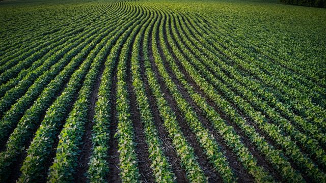 Advocates, farmers, and businesses fear that funding into a loosely defined program will amount to greenwashing and undermine truly regenerative systems.