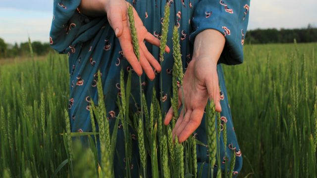 Women exposed to pesticides experience disproportionate risks, such as elevated diagnoses of aggressive breast cancer.