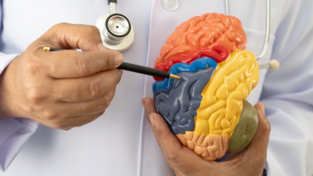 Neurotoxic effects from pesticide exposure are found in humans and wildlife, as documented in a review of toxicological studies.