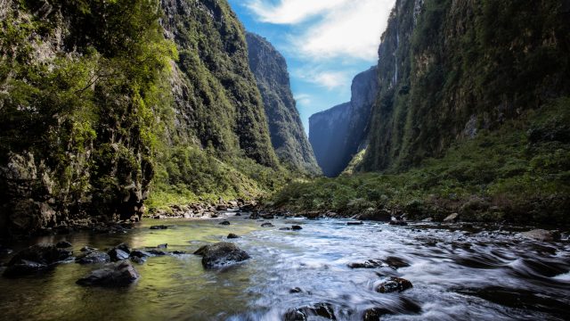 Pesticide contamination continues to spread into protected areas, as documented by a study in Brazil of epilithic biofilms.