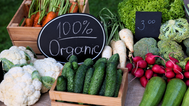 Researchers at Prairie View A&M University in Texas published a study of benefits, obstacles, and trends in U.S. organic agricultural production.