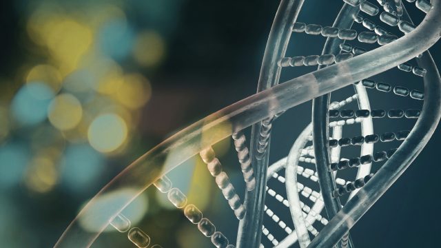 Studies find genetic, epigenetic, and transgenerational effects from pesticide exposure, particularly during early life.